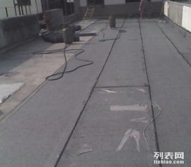 專業(yè)防水材料全攻略 守護(hù)家庭、廠房、地下室與衛(wèi)生間的每一寸空間